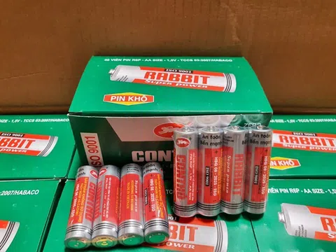 Chủ hãng pin Con Thỏ - Pin Hà Nội PHN dự chi hơn 14 tỷ đồng để tạm ứng cổ tức