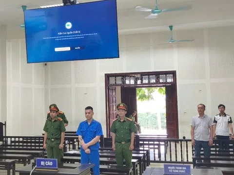 Tổ chức "bay lắc", người chết kẻ ngồi tù