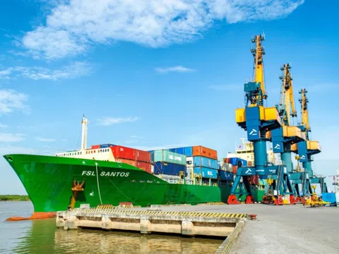 Vận tải Hải An (HAH) trình kế hoạch lợi nhuận 2025 tăng 33%, dự kiến đóng mới 4 tàu container