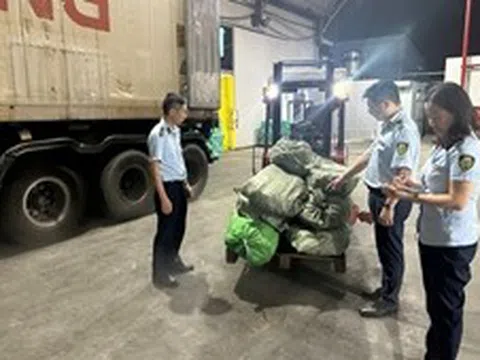 Phát hiện hơn 12 tấn chân gà đã bốc mùi hôi thối tại Quảng Ninh