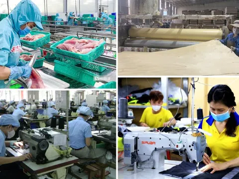 Thành lập Ban Chỉ đạo quốc gia triển khai Nghị quyết số 68-NQ/TW về phát triển kinh tế tư nhân