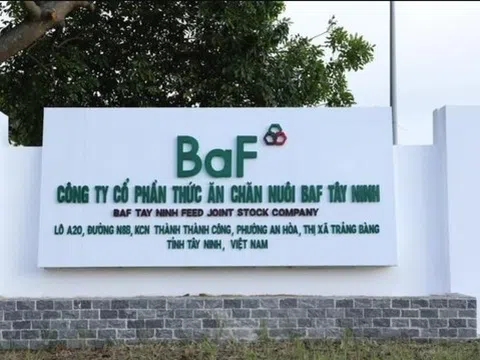 Thương vụ 'chớp nhoáng' của BaF Việt Nam: Vừa hoàn tất sở hữu đã vội bán lại trang trại heo cho chủ cũ