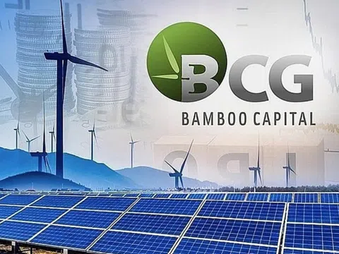 Bamboo Capital (BCG) kiện toàn nhân sự cấp cao
