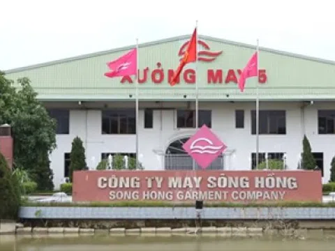 May Sông Hồng (MSH) hoàn tất phát hành cổ phiếu, tăng vốn điều lệ lên 1.125 tỷ đồng