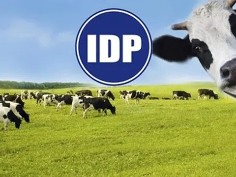 Sữa Quốc tế Lof (IDP) muốn vay ngân hàng hơn 1.200 tỷ đồng để đầu tư nhà máy và bổ sung vốn lưu động