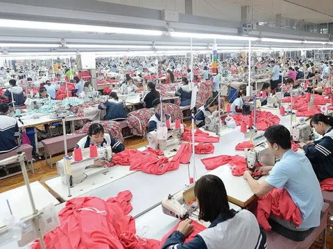 May Sông Hồng có bị ảnh hưởng trong thời gian tới khi Mỹ là thị trường chủ lực?
