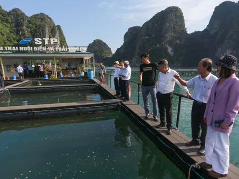Bộ Nông nghiệp và Môi trường thực hiện phân cấp, phân quyền cho địa phương