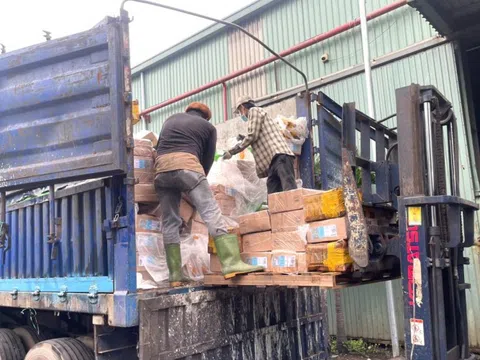 Đồng Nai tiêu hủy hơn 30 tấn thực phẩm đông lạnh bẩn, nhiễm khuẩn nguy hiểm