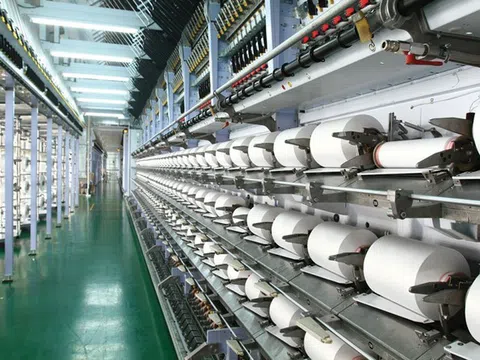 Giao dịch nội bộ tại Sợi Thế Kỷ (STK): Thành viên HĐQT thoái toàn bộ vốn, Phó Chủ tịch đăng ký mua vào