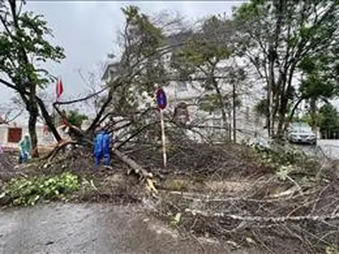 Bão số 1: Tập trung hỗ trợ khắc phục hậu quả thiên tai, sớm ổn định cuộc sống người dân