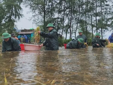 Quảng Trị khẩn trương khắc phục hậu quả bão số 1