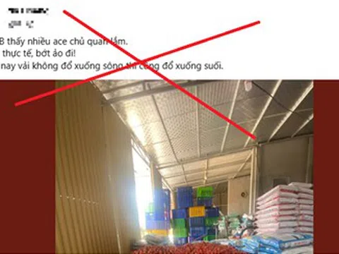 Xử lý hành vi đăng tải thông tin giả, sai sự thật về vải thiều