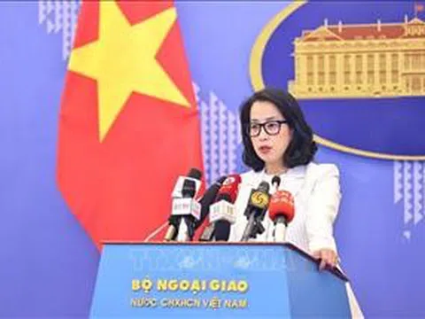 Việt Nam mong muốn nỗ lực đóng góp, nâng cao tiếng nói và vai trò của các nước đang phát triển