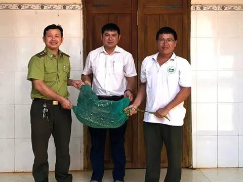 Phát hiện trăn gấm nặng 21kg vào nhà, người dân vây bắt giao cơ quan chức năng