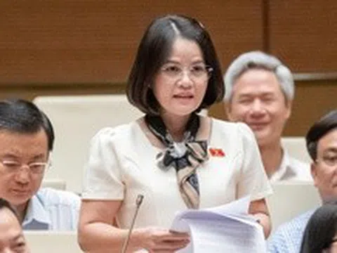Hàng giả lan rộng, có cán bộ tiếp tay: Đại biểu nói cần cả "chống" lẫn "xây"