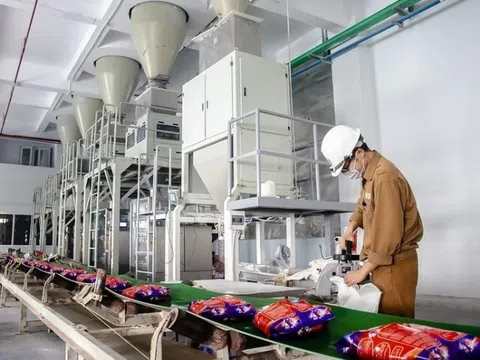 Cổ phiếu DGC của Hóa chất Đức Giang được kỳ vọng lấy lại mốc 100.000 đồng