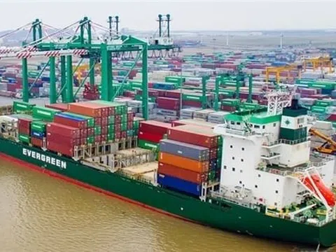 Viconship (VSC) dự kiến bán hơn 6,3 triệu cổ phiếu Cảng Xanh Vip (VGR)