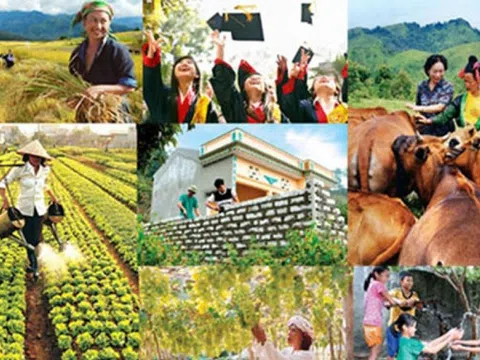 Thành lập Ban Chỉ đạo Trung ương các chương trình mục tiêu quốc gia giai đoạn 2021 - 2025