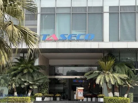 Taseco Land (TAL) chốt ngày trả gần 470 tỷ đồng cổ tức, công ty mẹ Taseco Group nhận 339 tỷ