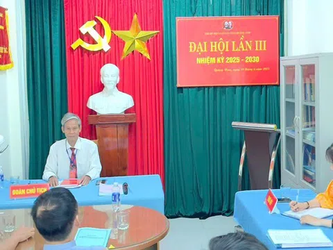 Tăng bản lĩnh, khẳng định vai trò hạt nhân lãnh đạo Chi bộ Hội Luật gia Quảng Nam