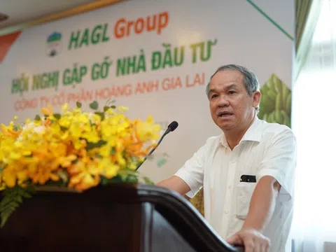 Chủ tịch Hoàng Anh Gia Lai (HAG) Đoàn Nguyên Đức đăng ký mua 10 triệu cổ phiếu sau khi công bố chiến lược kinh doanh mới