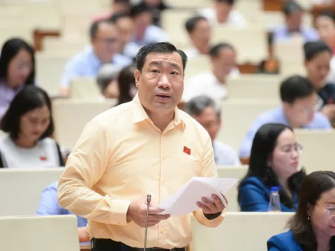 Cần chế tài nếu cơ quan chậm gỡ vướng pháp luật, tránh "trên nóng, dưới lạnh"