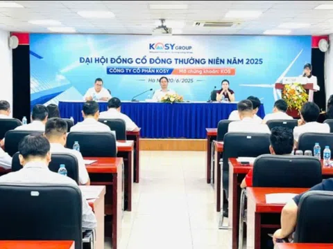 Kosy (KOS): Đặt mục tiêu lãi 118 tỷ đồng năm 2025 sau khi chỉ hoàn thành 20% kế hoạch 2024