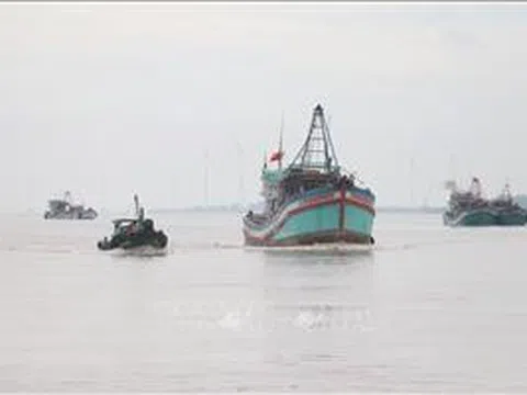 Giám sát chặt việc kiểm soát khai thác IUU tại địa phương