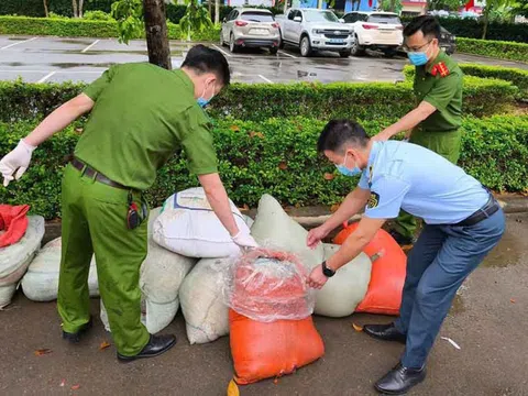 Phát hiện xe khách vận chuyển gần 1 tấn nội tạng động vật đang bốc mùi về Hà Nội tiêu thụ
