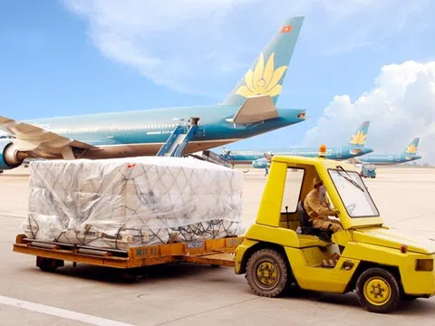 Dịch vụ Hàng hóa Nội Bài (NCT) đặt mục tiêu doanh thu đạt hơn 1.000 tỷ đồng trong năm 2025