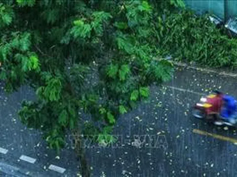 Kỳ thi tốt nghiệp THPT 2025: Bắc Bộ, Nam Bộ có mưa, cục bộ có nơi mưa to