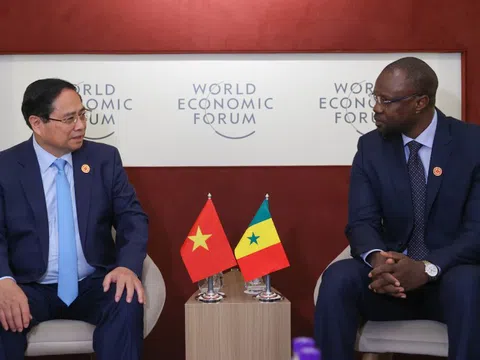 Senegal mong muốn Việt Nam tiếp tục hỗ trợ sản xuất lúa gạo và hạt điều