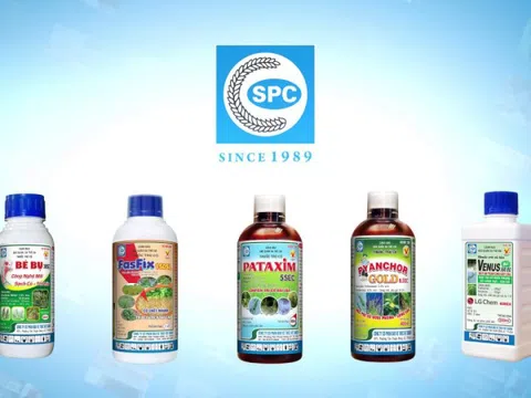 Khai sai thuế, dùng hóa đơn chứng từ không hợp pháp, Công ty Bảo vệ Thực vật Sài Gòn (SPC) bị phạt