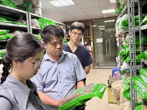 Hàng giả chủ yếu là nhóm thực phẩm chức năng, thuốc đông y và mỹ phẩm