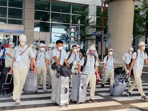 Loại 2 doanh nghiệp khỏi chương trình đưa lao động sang Australia làm nông nghiệp