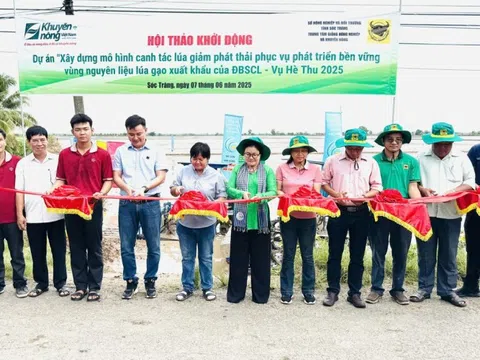Bình Điền đẩy mạnh Dự án "Xây dựng mô hình canh tác lúa giảm phát thải phục vụ phát triển bền vững"