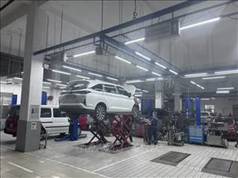 Lao động trẻ với cơ hội lớn trong xu hướng chuyển dịch nghề nghiệp