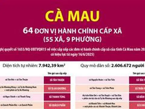 Thông tin chi tiết sắp xếp các đơn vị hành chính cấp xã của tỉnh Cà Mau