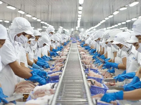 Không để ảnh hưởng đến sản xuất, kinh doanh khi sắp xếp đơn vị hành chính