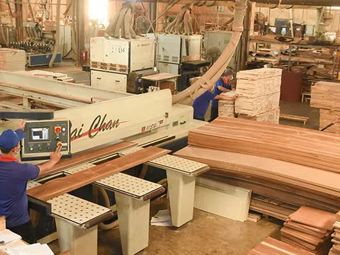 Gỗ Thuận An (GTA) báo lãi 6 tháng đầu năm đạt 3,2 tỷ đồng, mới hoàn thành 30% mục tiêu đề ra