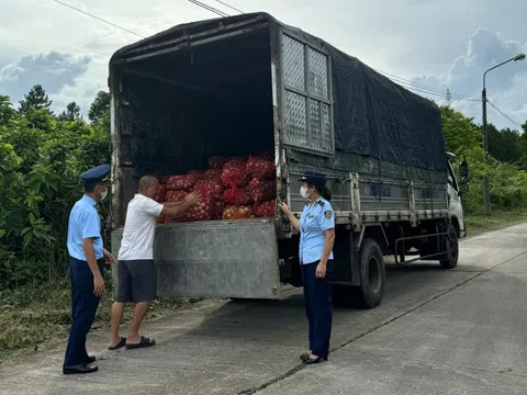 Thu giữ và tiêu hủy gần 17 tấn ngao, hàu từ Móng Cái vào nội địa tiêu thụ