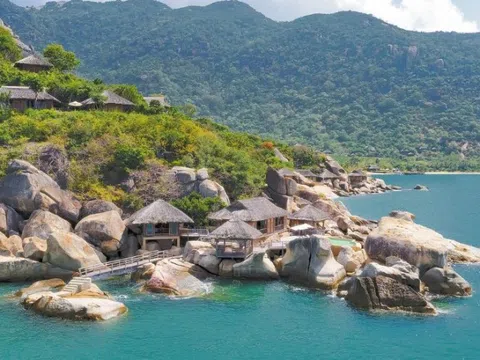 Ninh Vân Bay (NVT) có tân Tổng Giám đốc