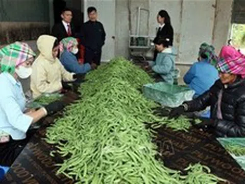 Từ ngày 1/7, nâng mức cho vay đối với cá nhân, hộ kinh doanh không có tài sản đảm bảo