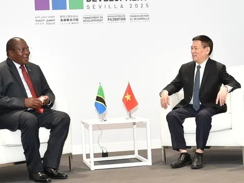 Phó Thủ tướng Hồ Đức Phớc gặp Phó Tổng thống Tanzania