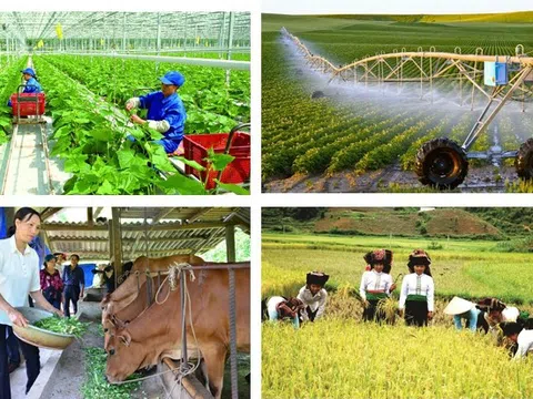 Kiện toàn Ban Chỉ đạo Tổng điều tra nông thôn, nông nghiệp năm 2025 trung ương