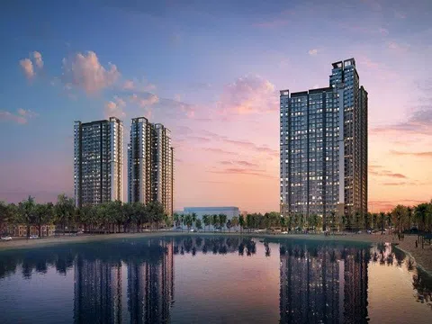 Tân Liên Phát Tân Cảng báo lỗ gần 400 tỷ năm 2024, lỗ lũy kế vượt 352 tỷ đồng