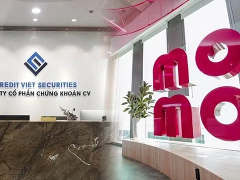 Chứng khoán CV (CVS) bị xử phạt, quý I/2025 ghi nhận lỗ gần 6,4 tỷ đồng