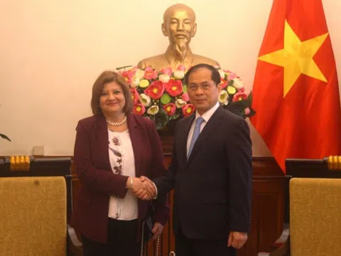 Phó Thủ tướng Bùi Thanh Sơn tiếp Đại sứ Ai Cập chào từ biệt