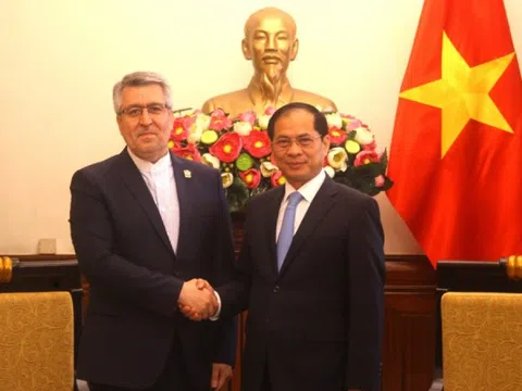 Phó Thủ tướng Bùi Thanh Sơn tiếp Đại sứ Iran Ali Akbar Nazari