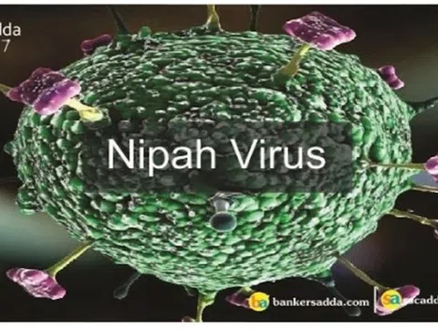 Virus Nipah mà 2 người ở Ấn Độ mắc phải nguy hiểm cỡ nào?